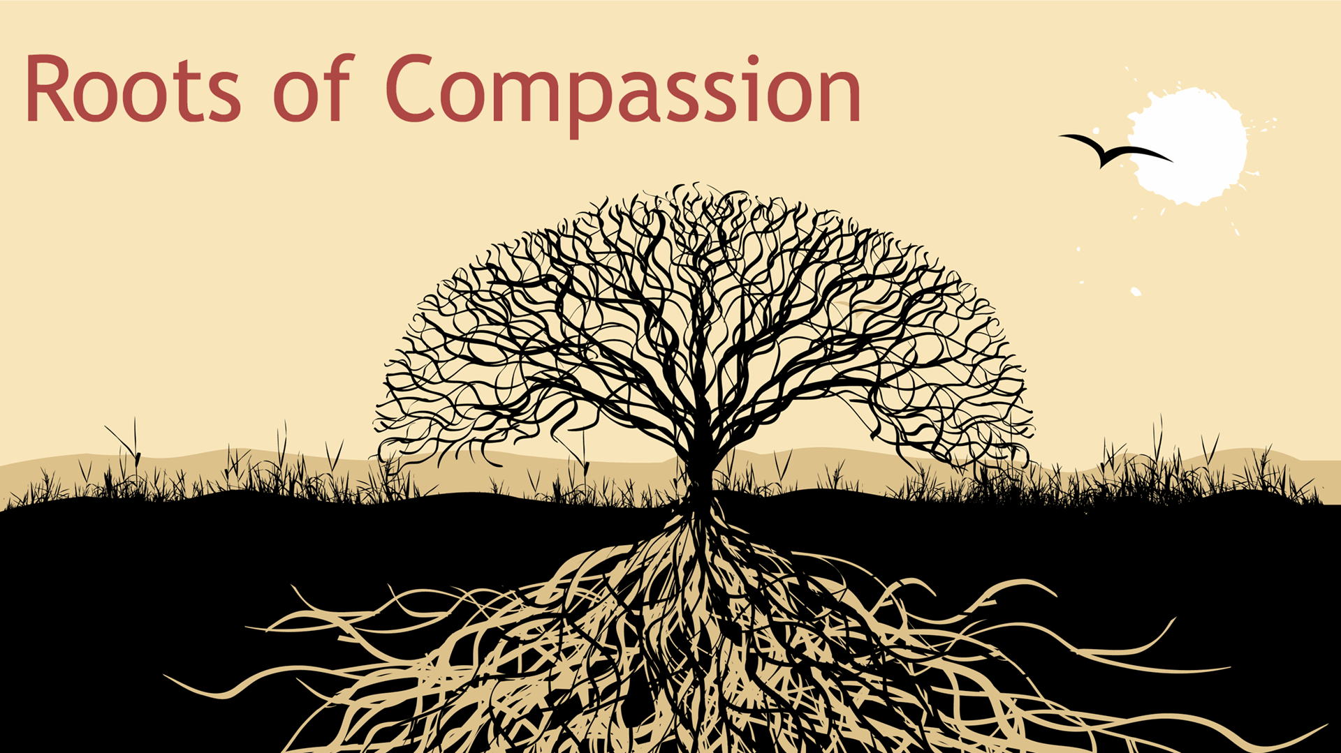 center for mindful self compassion