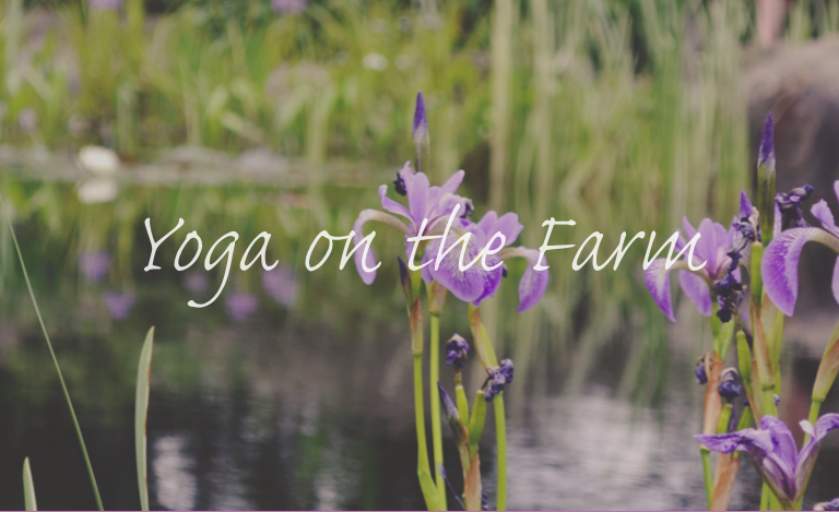 Santosha Yoga Retreats with Dorothy Price